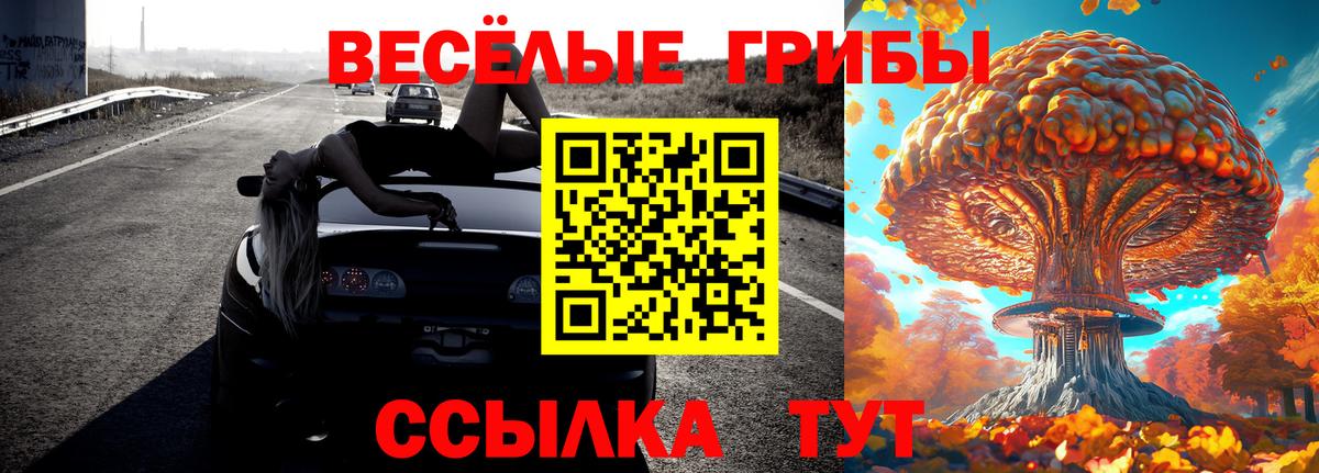 Галлюциногенные грибы Psilocybe Белореченск