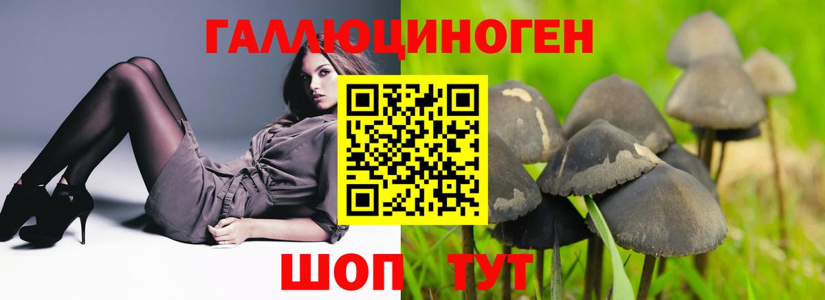 Псилоцибиновые грибы мухоморы  Вход с VPN  Белореченск 
